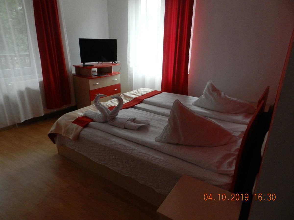 Гостевой дом Pensiunea Marina Бран-14