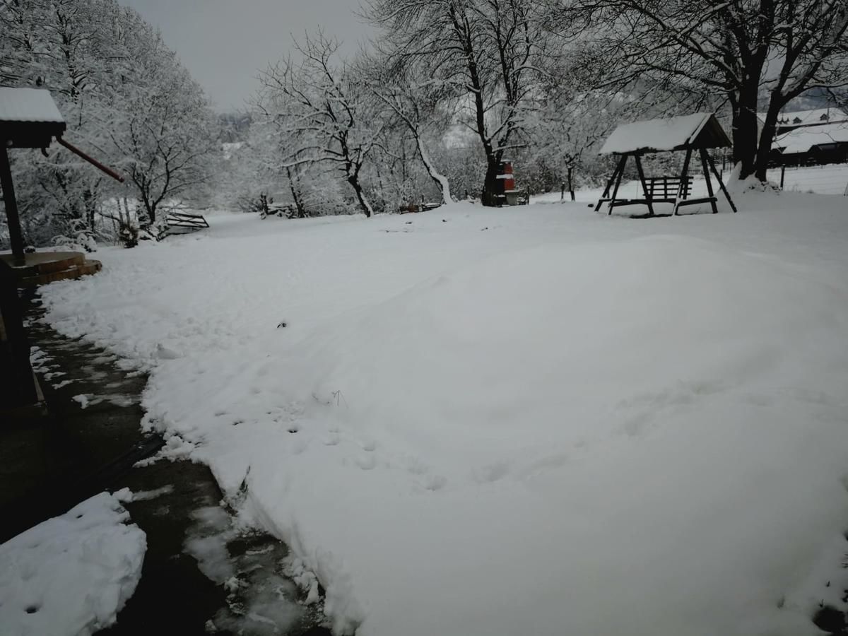 Гостевой дом Pensiunea Marina Бран-46