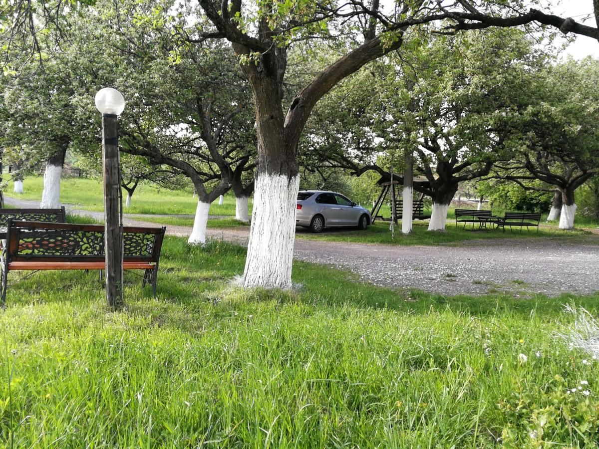 Гостевой дом Pensiunea Marina Бран-48