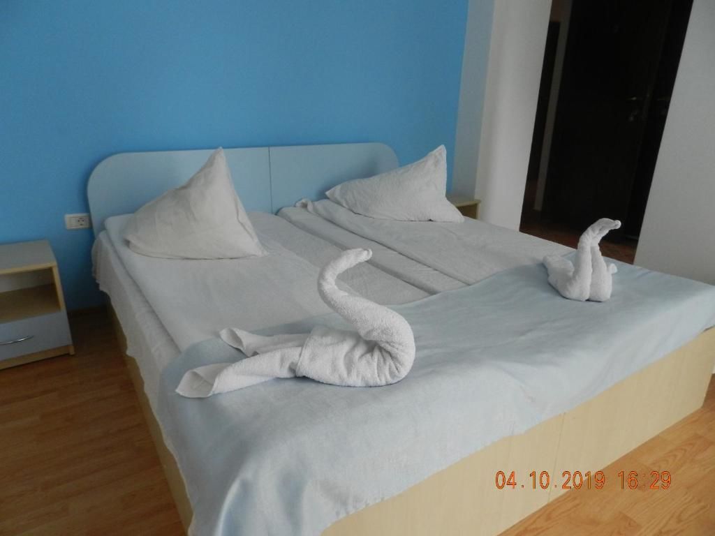 Гостевой дом Pensiunea Marina Бран-52