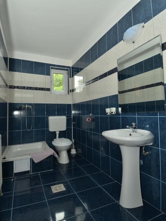 Гостевой дом Pensiunea Marina Бран-63