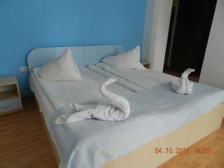 Гостевой дом Pensiunea Marina Бран Двухместный номер с 2 отдельными кроватями и балконом-9