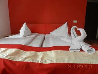 Гостевой дом Pensiunea Marina Бран Двухместный номер с 2 отдельными кроватями и балконом-12