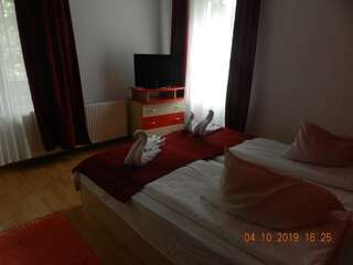 Гостевой дом Pensiunea Marina Бран Улучшенный люкс с 2 спальнями-9