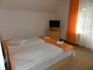 Гостевой дом Pensiunea Marina Бран Двухместный номер с 2 отдельными кроватями и балконом-15