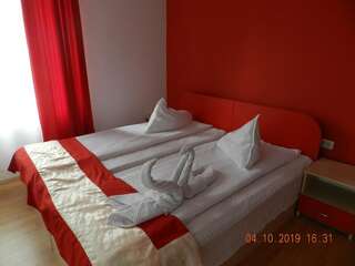 Гостевой дом Pensiunea Marina Бран Двухместный номер с 2 отдельными кроватями и балконом-20