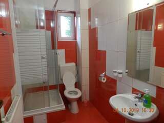 Гостевой дом Pensiunea Marina Бран Двухместный номер с 2 отдельными кроватями и балконом-21