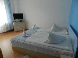 Гостевой дом Pensiunea Marina Бран Двухместный номер с 2 отдельными кроватями и балконом-28