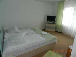 Гостевой дом Pensiunea Marina Бран Двухместный номер с 2 отдельными кроватями и балконом-32