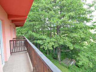 Гостевой дом Pensiunea Marina Бран Двухместный номер с 2 отдельными кроватями и балконом-36