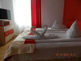 Гостевой дом Pensiunea Marina Бран Двухместный номер с 2 отдельными кроватями и балконом-50