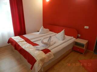 Гостевой дом Pensiunea Marina Бран Улучшенный люкс с 2 спальнями-5