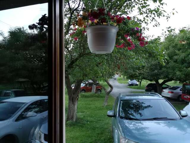 Гостевой дом Pensiunea Marina Бран-39