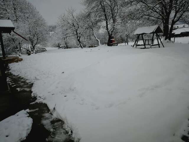 Гостевой дом Pensiunea Marina Бран-45